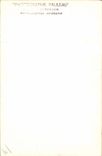 CARTE PHOTO Felin Lion Lionne