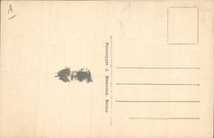 VINTAGE POSTCARD Cat-like African Colonies Leopard taken with the trap