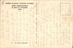 VINTAGE POSTCARD Cat-like Zoological gardens of the wood of Vincennes Paris a Bengal tiger