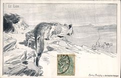 CPA Felin Lion 