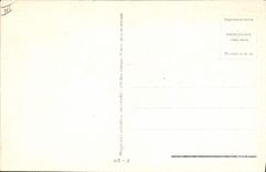 VINTAGE POSTCARD Illustrateur Child Becomes fluffy