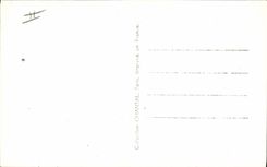 CPM Cinema Louise Carletti