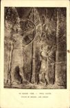 CPA Art Assyrien Perse Paris Louvre Palais de Sargon Une chasse