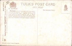 VINTAGE POSTCARD Cat-like Jaguar