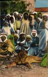 CPA Felin Lion Maroc