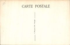 CPA Felin Bourges Museum d'Histoire Naturelle Lions Athos Porthos et Aramis