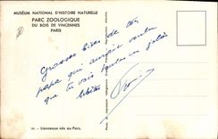 Museo Nacional felino de la POSTAL de la VENDIMIA del CASQUILLO zoológico de la historia natural de la madera de los cachorros de león de Vincennes París llevados con el león del parque