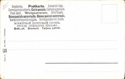 VINTAGE POSTCARD Cat-like Monkeys Jaguar