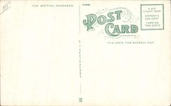 La avestruz de la POSTAL de la VENDIMIA empluma para la granja Pasadena del sur California de la avestruz de las señoras Cawston