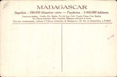 CPA Autruche Madagascar Recolte des plumes d'Autruches a Tulear