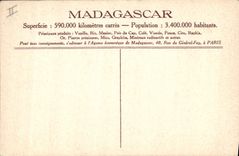 VINTAGE POSTCARD Madagascar Couples Ostriches