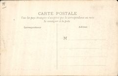 VINTAGE POSTCARD Madagascar Herd of ostriches