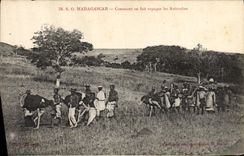 VINTAGE POSTCARD Madagascar How one makes travel the Ostriches