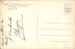 VINTAGE POSTCARD Paris Zoological garden of Vincennes Ostriches