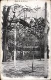 CPA Athletisme Saut de la perche 