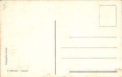 VINTAGE POSTCARD Ostrich Struzzo LED Barca viola