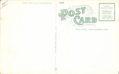 VINTAGE POSTCARD Autruches has prize flock Cawston Ostrich Farm South Pasadena California