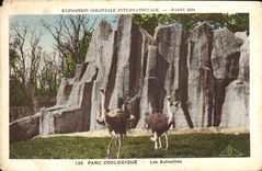 CPA Paris Exposition coloniale internationale Paris 1931 Parc zoologique Les autruches 