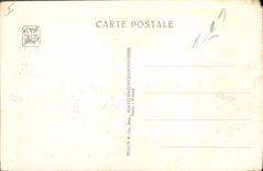 VINTAGE POSTCARD Paris Fair colonial international Paris 1931 Zoological gardens ostriches