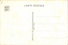 VINTAGE POSTCARD Paris Exposition colonial international Paris 1931 Zoological gardens the ostriches African savanna Streaks