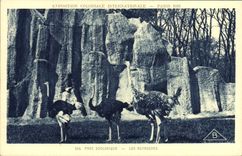 CPA Paris Exposition coloniale internationale Paris 1931 Parc zoologique Les autruches 
