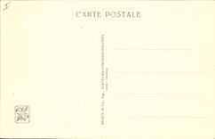 CPA Paris Exposition coloniale internationale Paris 1931 Parc zoologique Les autruches 