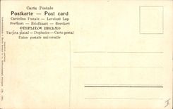 VINTAGE POSTCARD Insects Locust