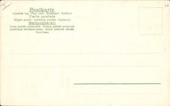 CPA Insectes