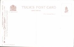 CPA Fantaisie Illustrateur Femmes Shakespeare 