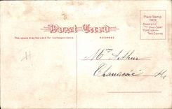 VINTAGE POSTCARD Fantasy Illustrator Woman France Flag