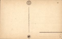 CPA Fantaisie Illustrateur Folklore Hahn 