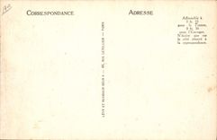 Cerdos jovenes de la POSTAL de la VENDIMIA de los cerdos de los cerdos de Pyrenees