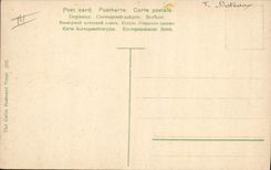 VINTAGE POSTCARD Bateau Canal S Chatham runs with the canal Egypt Egypt