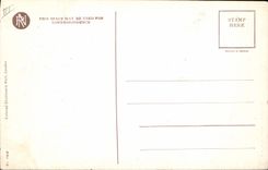 CPA Fantaisie Illustrateur Femme Bewitching Maiden