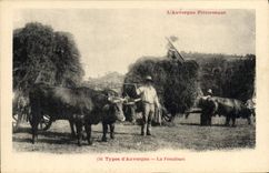 VINTAGE POSTCARD Folklore Types of Auvergne haymaking TOP
