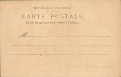 VINTAGE POSTCARD Fantasy Flowers Tulip