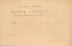 VINTAGE POSTCARD Fantasy the CAMELIA Flowers