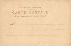 VINTAGE POSTCARD Fantasy Forget-me-not Flowers