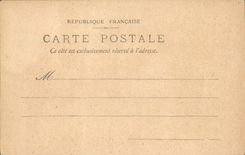 VINTAGE POSTCARD Fantasy Flowers Nasturtium