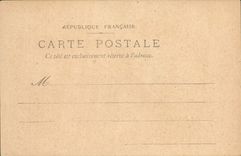 VINTAGE POSTCARD Fantasy Flowers Flower of Orange tree