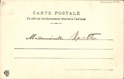 VINTAGE POSTCARD Frog Toad Belgium France