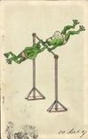 CPA Grenouille Crapaud Barres paralleles Gymnastique 