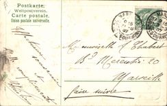 VINTAGE POSTCARD Frog Toad Parallel barses Gymnastic