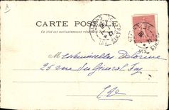 VINTAGE POSTCARD Frog Toad Violin Violoncello