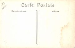 VINTAGE POSTCARD Frog Toad the Blois castle