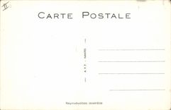 VINTAGE POSTCARD Grenouille Toad the unforeseen shower Fishes Sinning