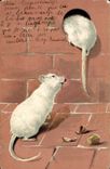 VINTAGE POSTCARD White mouse Rat