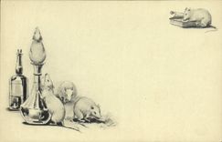 VINTAGE POSTCARD Mouse Rat