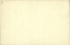 VINTAGE POSTCARD Mouse Rat