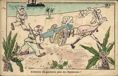 CPA Militaria Colonne de secours pas de chameaux Autruche 